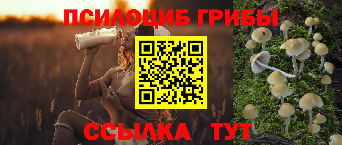 Псилоцибиновые грибы мицелий  Вход с VPN  купить  цена  Ангарск 